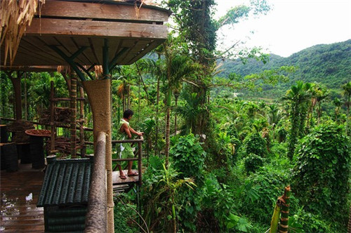 快活鸟台湾香鸡排