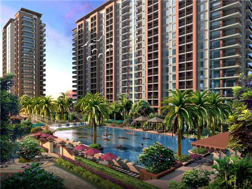 阿索金大碗牛肉面