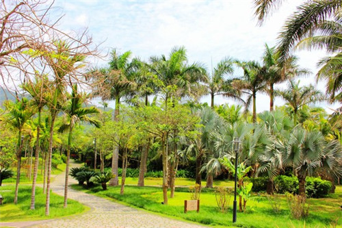 便利店创业策划书范文案例，便利店创业介绍词怎么写