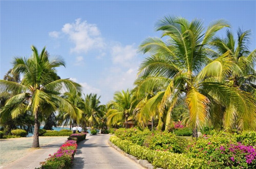 摆摊创业便利店怎么做起来的，摆摊创业便利店怎么做起来