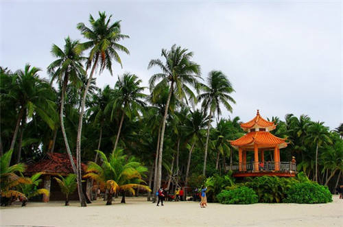 泰安奶品牌，泰安哪有奶茶店