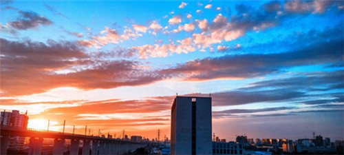 啵啵鱼加盟费是多少