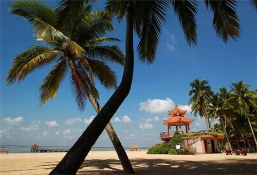 黄山市加盟一个奶茶店大概多少钱，加盟time2tea积慕茶在黄山市开店能盈利吗