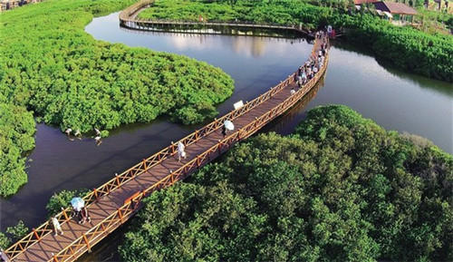 芷江侗族自治县加盟炸鸡哪些项目比较适合新手，芷江侗族自治县加盟麦香炸鸡腿市场前景如何