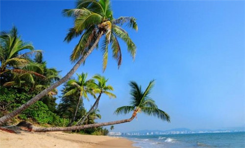 开一家扑辣辣牛蛙火锅加盟店能不能赚钱，适合夫妻店的特色火锅项目有哪些