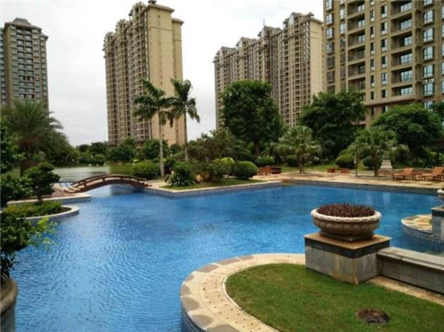 为什么散户成了十大股东（为什么大部分散户在股票中不赚钱）