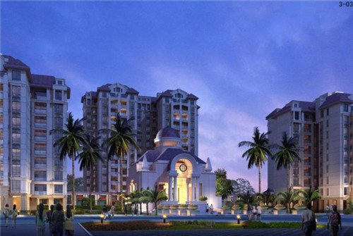 藏排通便贴（通便贴多少钱一盒）