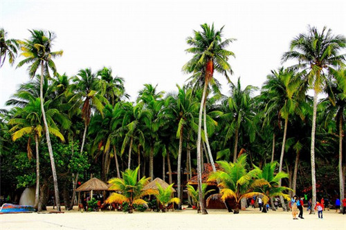 睢县西裤加盟创业选择哪家项目利润高（睢县西餐在什么地方?）