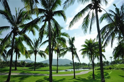 陈油坊旅游注意事项（陈油坊旅游注意事项和要求）