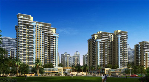 韭菜黄炒蟹肉怎么炒（蟹黄可以和韭菜一起包饺子吗）